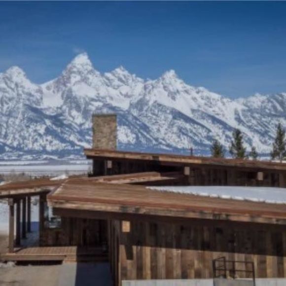 Meet your Posher, Jack - Picture 1 of 1